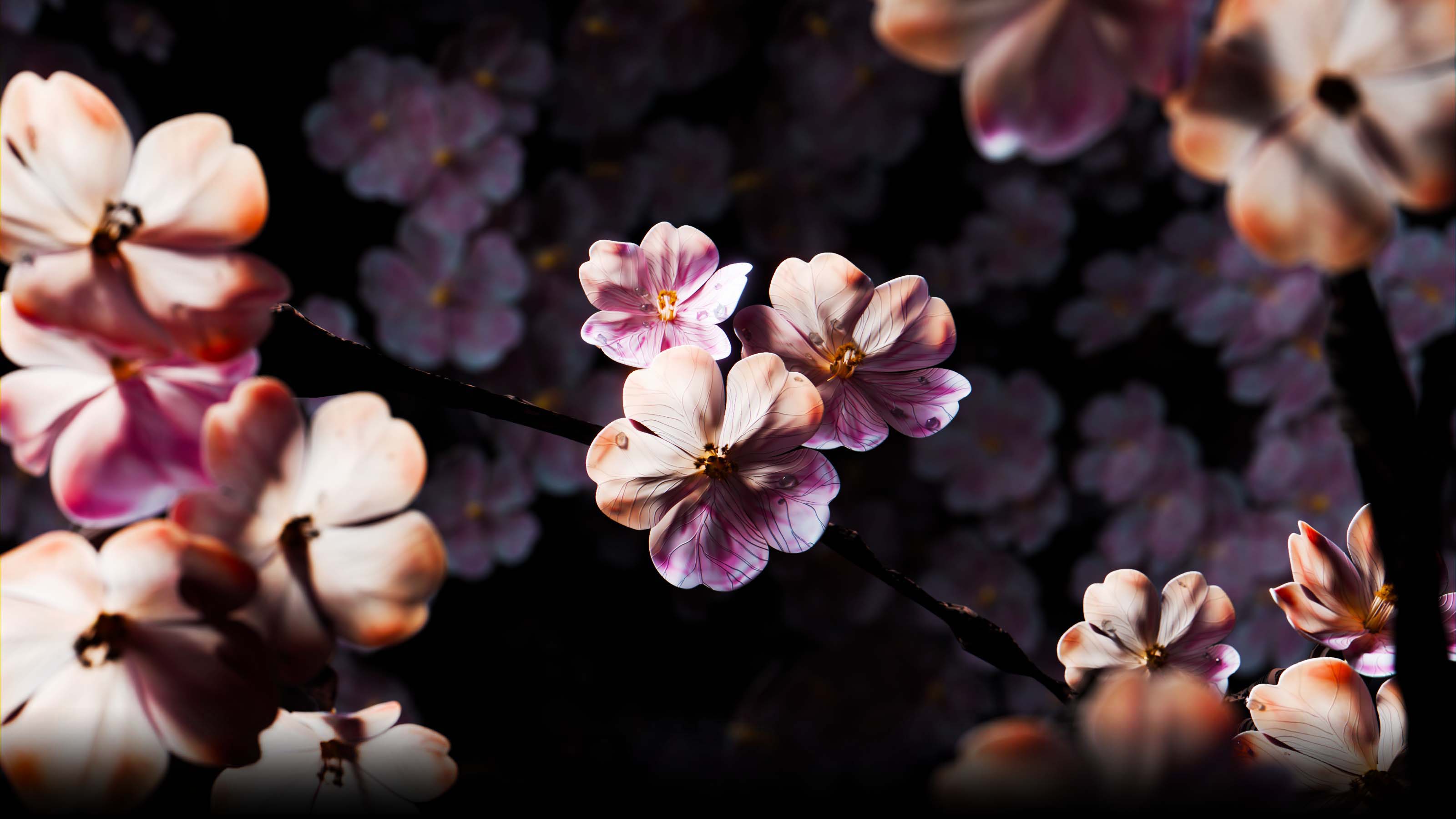 CG Cherry Flowers